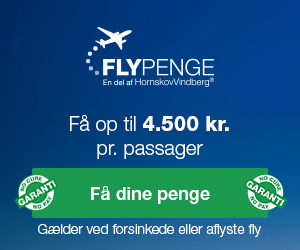 Flypenge